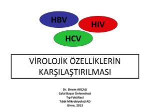 HBV - Klimik
