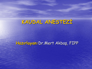 kaudal anestezi - Doç.Dr.Mert AKBAŞ, FIPP