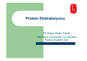 Protein Ekstraksiyonu - Erzurum Teknik Üniversitesi