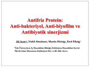 Antifriz Protein: Anti-bakteriyel, Anti-biyofilm ve Antibiyotik