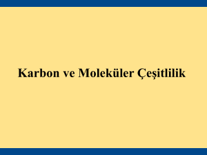 Karbon ve Moleküler Çeşitlilik