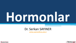 Dr. Serkan SAYINER