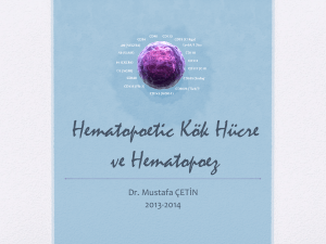 Hematopoetik Kök Hücre ve Hematopoez