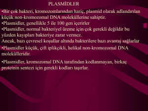 12. Plasmidler