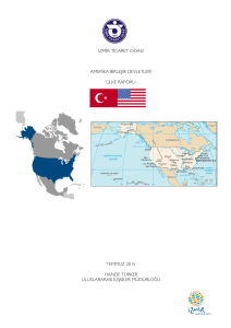 izmir ticaret odası amerika birleşik devletleri ülke raporu temmuz