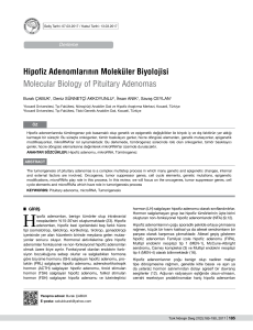Hipofiz Adenomlarının Moleküler Biyolojisi Molecular Biology of