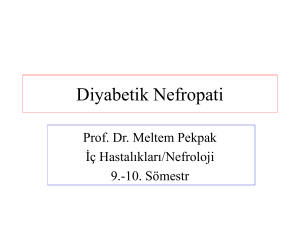 Diyabetik Nefropati.9-10s  mestr dersi ppt