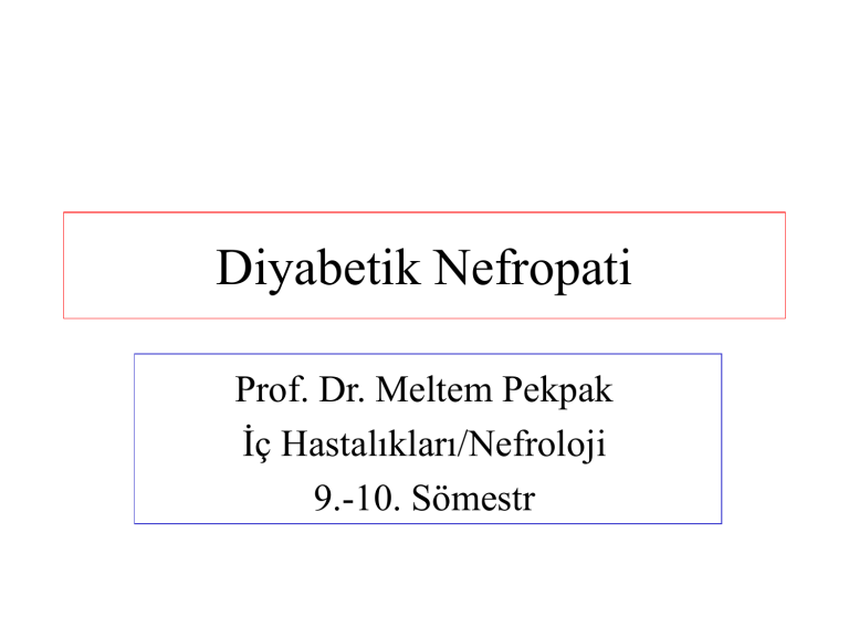 Diyabetik Nefropati