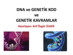 DNA ve GENETİK KOD ve GENETİK KAVRAMLAR