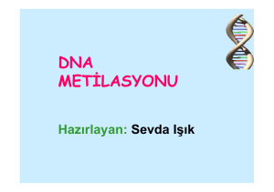 DNA METİLASYONU