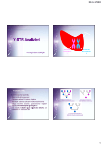 Y-STR Analizleri Y STR Analizleri