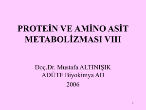 08 Protein ve amino asit metabolizması VIII