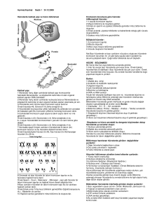Ayxmaz/biyoloji Sayfa 1 24.12.2009 Hücrelerde kalıtsal yapı ve