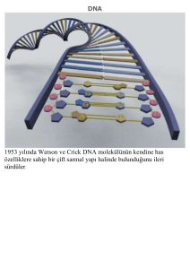 DNA - gumusgozefen