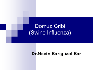 Domuz Gribi (Swine Influenza)