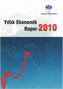 Yıllık Ekonomik Rapor 2010