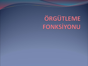 ÖRGÜTLEME FONKSİYONU