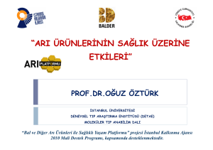 Prof Dr. Oguz Ozturk