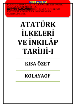 Lila-asimetrik-etek-2013 Lila-asimetrik-etek-2013