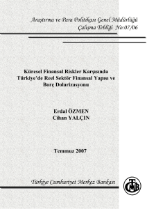 Küresel Finansal Riskler Karşısında Türkiye`de Reel Sektör