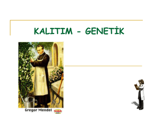KALITIM - GENETİK