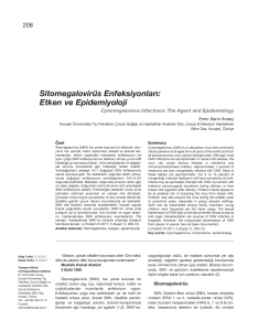 Sitomegalovirüs Enfeksiyonları: Etken ve Epidemiyoloji