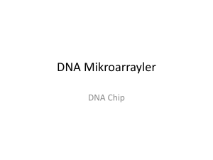 DNA Mikroarrayler