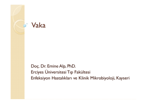 Dr. Emine Alp-Vaka 4 - Hacettepe Üniversitesi HIV / AIDS Tedavi ve