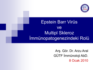 Epstein Barr Virus (EBV)