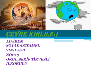 ÇEVRE KiRLILIĞI - files.eba.gov.tr