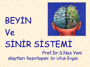 Prof. Dr. Seher Naz YENİ - İ.Ü. Cerrahpaşa Tıp Fakültesi