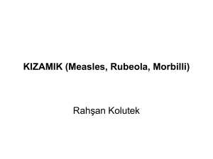 2-sinif-kizamik-measles-rubeola