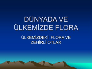 ZEHİRLİ OTLAR - files.eba.gov.tr