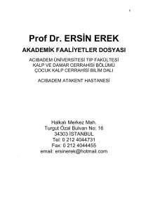 Akademik Faaliyetler - Prof. Dr. Ersin EREK