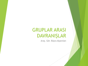 gruplar arası davranışlar