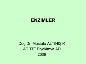 enzimler - mustafaaltinisik.org.uk