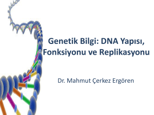 DNA`nın Yapısı ve Görevi