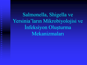 Salmonella, Shigella ve Yersinia`ların Mikrobiyolojisi ve İnfeksiyon