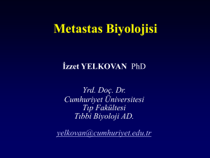 Metastas Biyolojisi - Cumhuriyet Üniversitesi Tıp Fakültesi