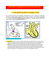 ventriküler septal defekt (vsd)