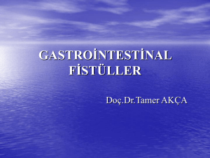 Gastrointestinal Fistüller