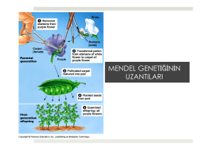 4. Mendel Genetiğinin Uzantıları.pptx