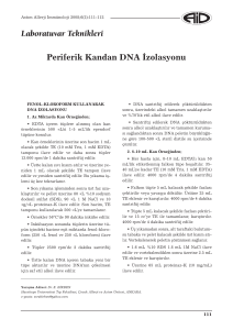111-112 periferik kandan DNA