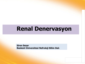 Catheter-Based Renal Denervation (RDN) Symplicity HTN