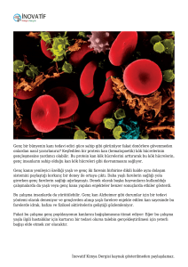 Yaşlı Kan (Hematopoetik) Kök Hücreleri Yenilenebiliyor! | İnovatif