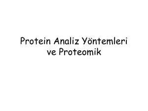 protein analiz yöntemleri
