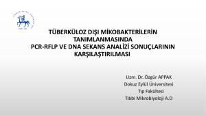 tüberküloz dışı mikobakterilerin tanımlanmasında pcr