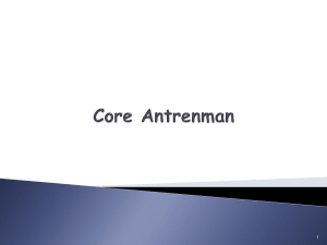 Core Antrenman