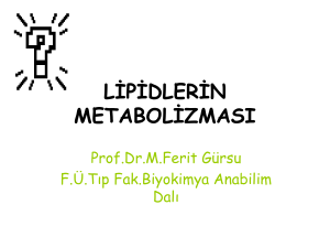 Tıp-2 Lipidlerin Metabolizması