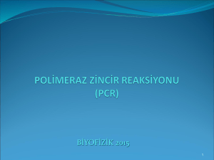 POLİMERAZ ZİNCİR REAKSİYONU (PCR)